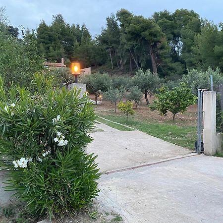 אגיוס גאורגיוס Askalosia Villa מראה חיצוני תמונה
