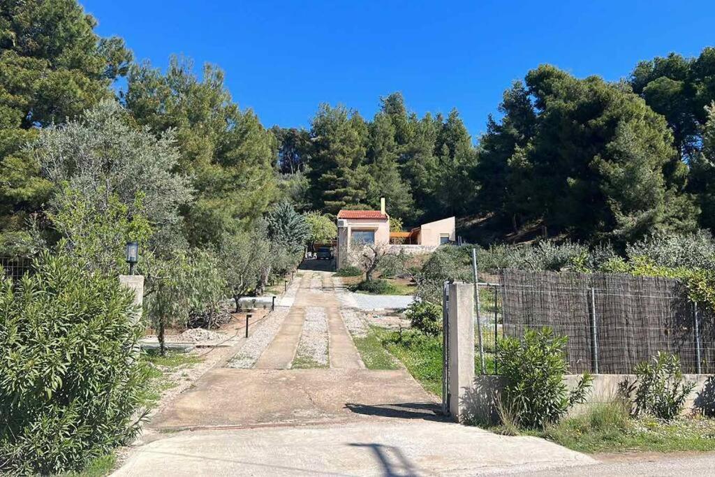 אגיוס גאורגיוס Askalosia Villa מראה חיצוני תמונה