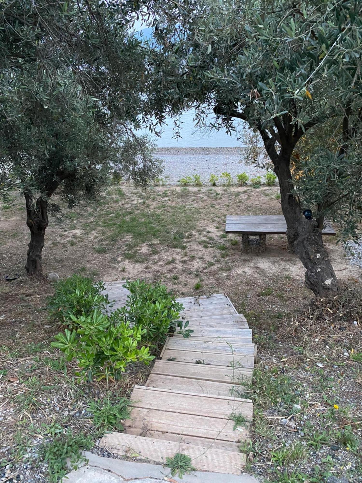 אגיוס גאורגיוס Askalosia Villa מראה חיצוני תמונה