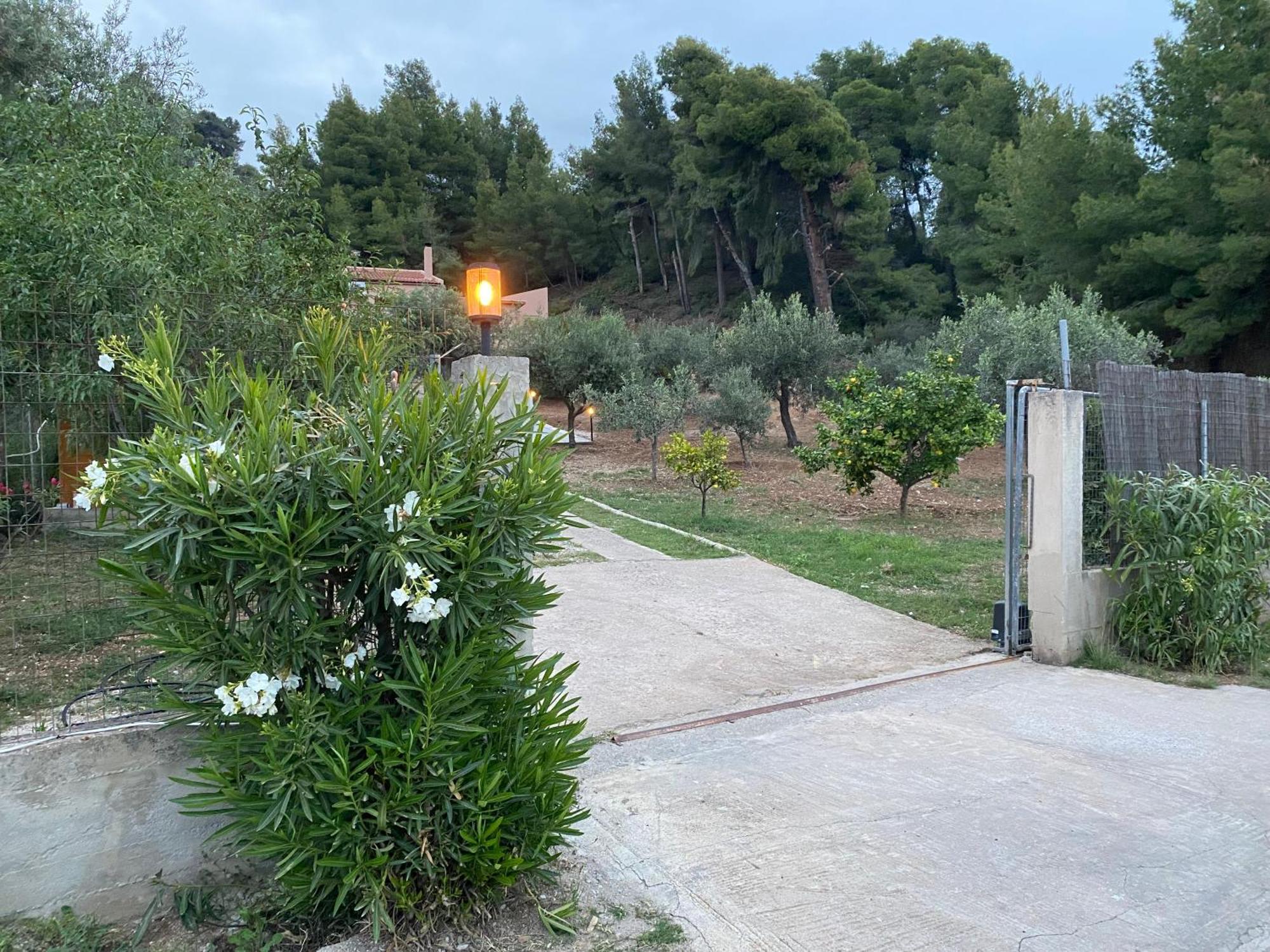 אגיוס גאורגיוס Askalosia Villa מראה חיצוני תמונה